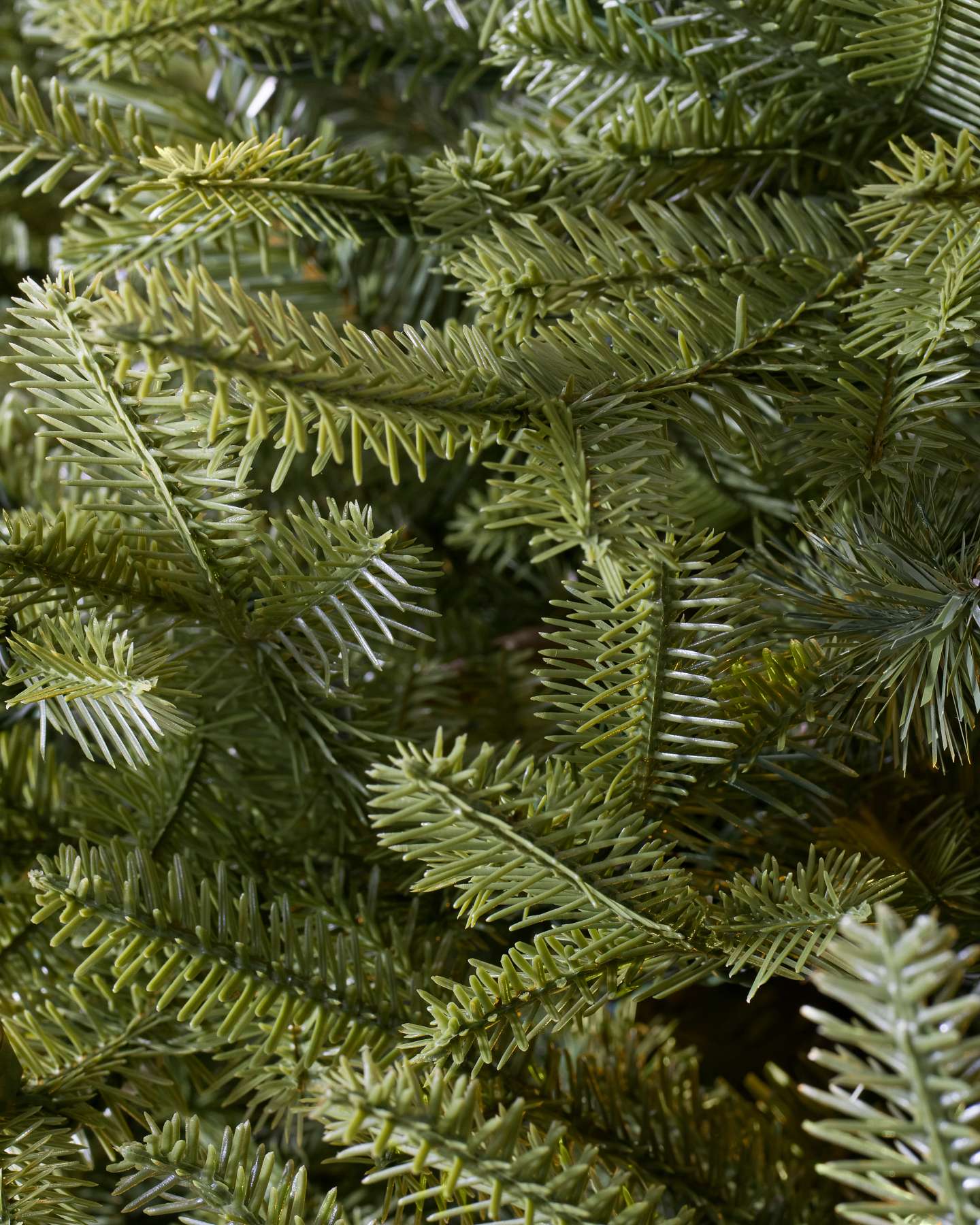Balsam Hill Balsam Fir Wide Artificial Christmas Tree Detail View