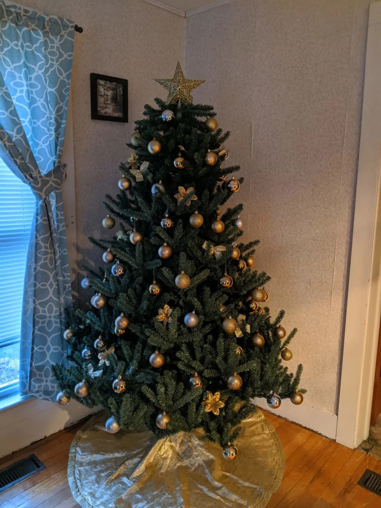 Classic Blue Spruce® Christmas Trees Balsam Hill